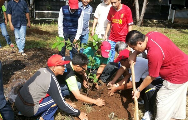 Photo 4